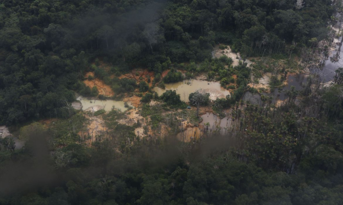 Rastreabilidade do ouro ajudaria a conter pressão sobre área indígena