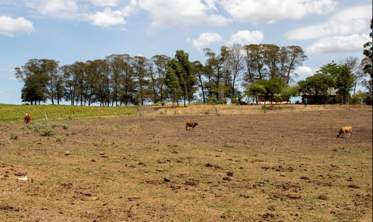 El Niño pode causar forte aumento nas temperaturas