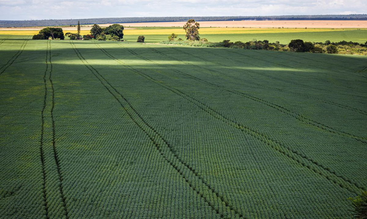 Mudança no cálculo do preço mínimo de produtos agrícolas é aprovada pelo Senado