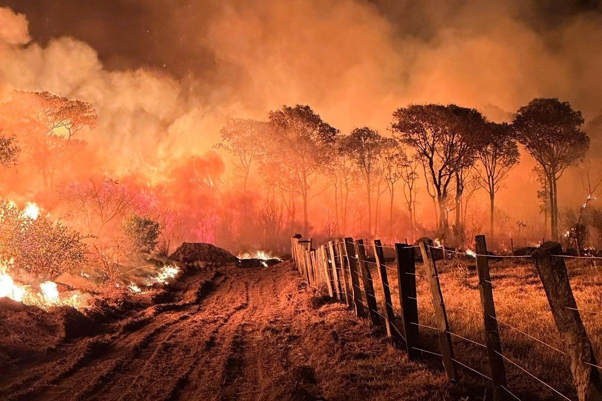 COP28 tem início após ano de “retrocesso” mundial no clima, dizem especialistas