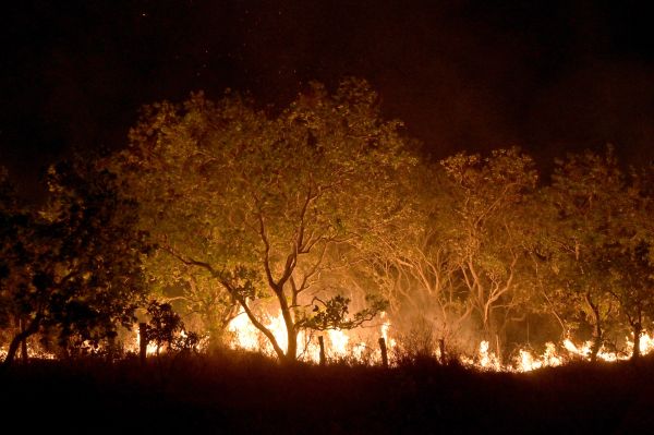 Roraima tem 45% do total de focos de queimadas do país em fevereiro