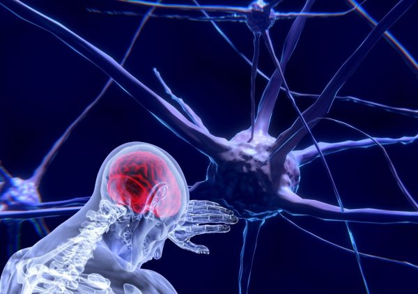 Neurotecnologia permitirá alterar funcionamento mental, diz cientista