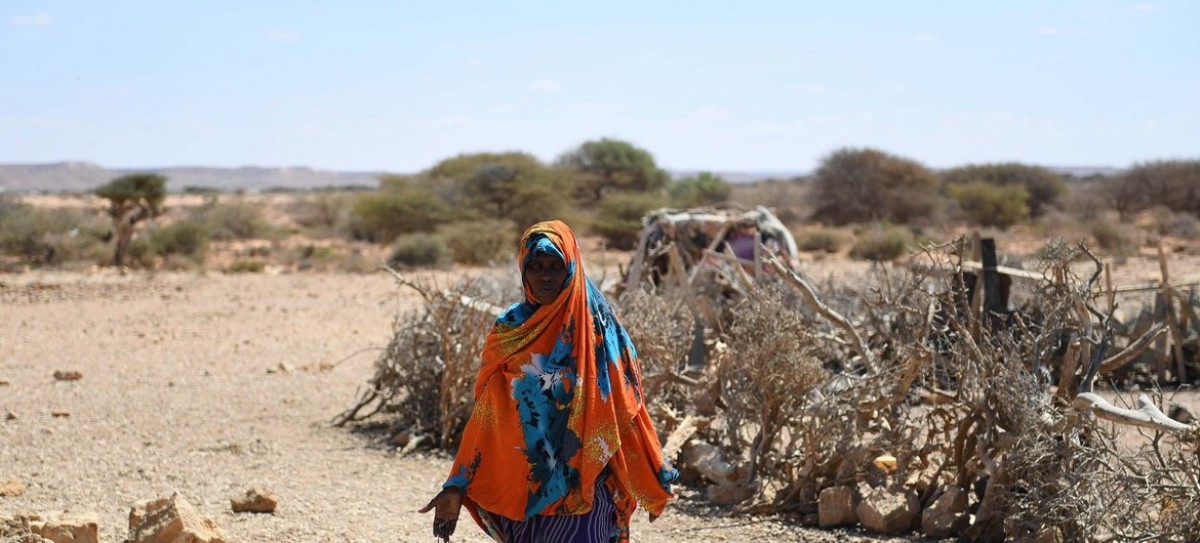 Fome severa atinge mais de 48,2 milhões de pessoas na África Oriental