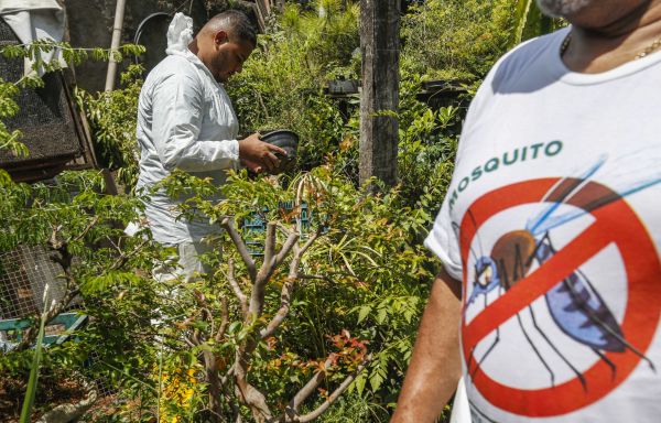 Prefeitura de SP decreta emergência por alto número de casos de dengue