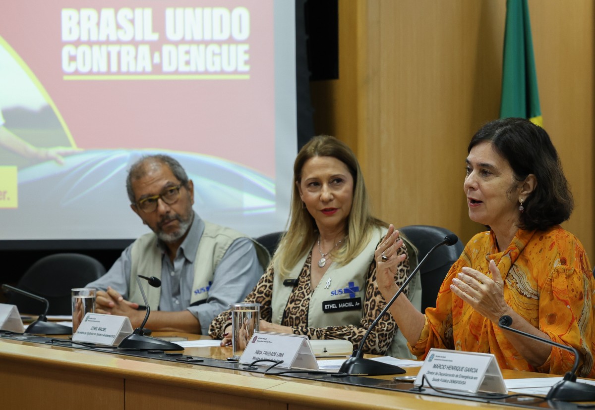 Juntas, dengue e gripe podem pressionar sistema de saúde, diz ministra