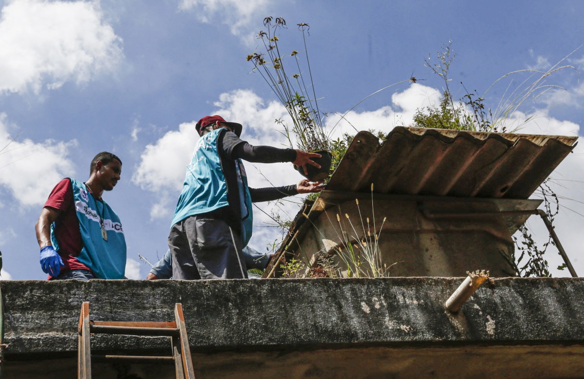 Sete estados e o DF têm tendência de queda nos casos de dengue