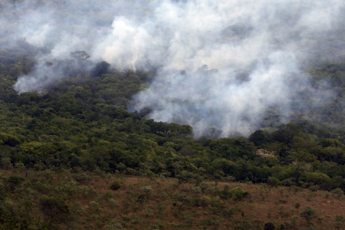 Ibama cria plataforma para acompanhar recuperação ambiental