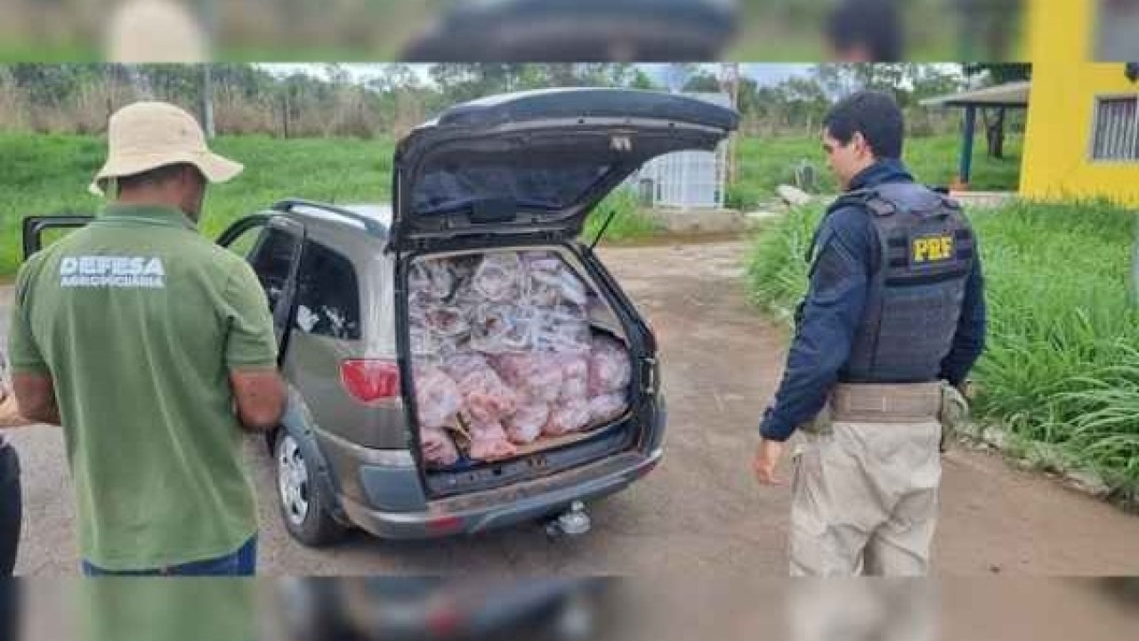 PRF apreende 500 kg de carne transportados no porta-malas de um Palio